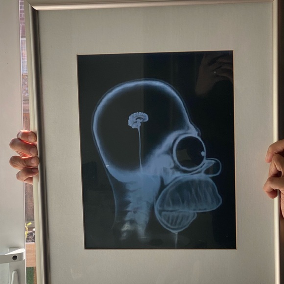 Homer Simpson XRay in picture frame - Picture 4 of 6